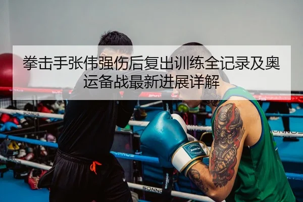 拳击手张伟强伤后复出训练全记录及奥运备战最新进展详解